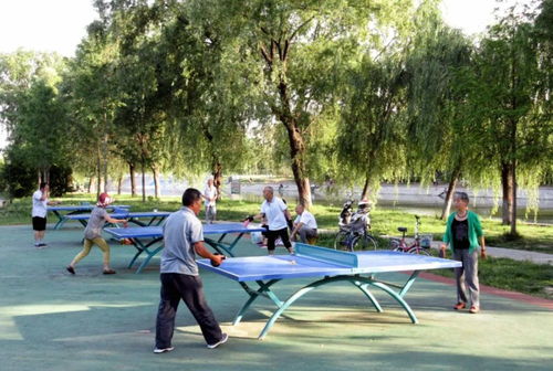 全民健身播報 滬陜聯合隊輪椅擊劍摘金，陜西信達豪取12連勝，健身休閑活動蓬勃發展